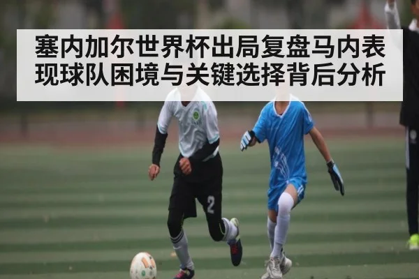 塞内加尔世界杯出局复盘马内表现球队困境与关键选择背后分析
